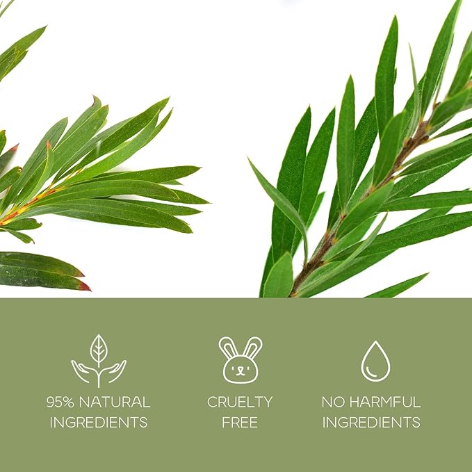 Charcoal & Tea Tree Peel-Off Face Mask - Blackhead Remover, Acne Treatment, Unclogs Pores, Deep Cleansing - Dermatologist Tested Korean Skincare, Clean Beauty, Cruelty-Free - 6.7 Fl oz