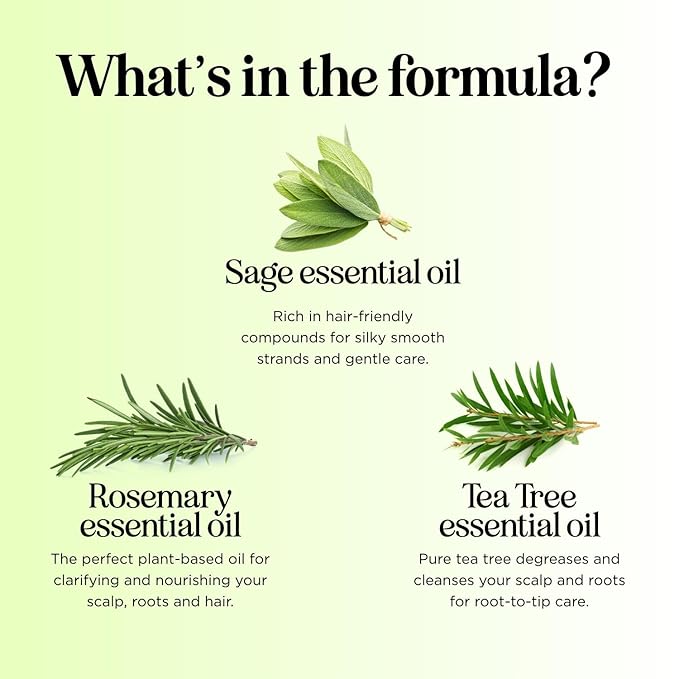 Sulfate Free Shampoo and Conditioner Set - Tea Tree Sage and Rosemary Shampoo and Conditioner for Dry Flaky Scalp Care - Deep Cleansing Color Safe Shampoo and Conditioner for Damaged Dry Hair Care