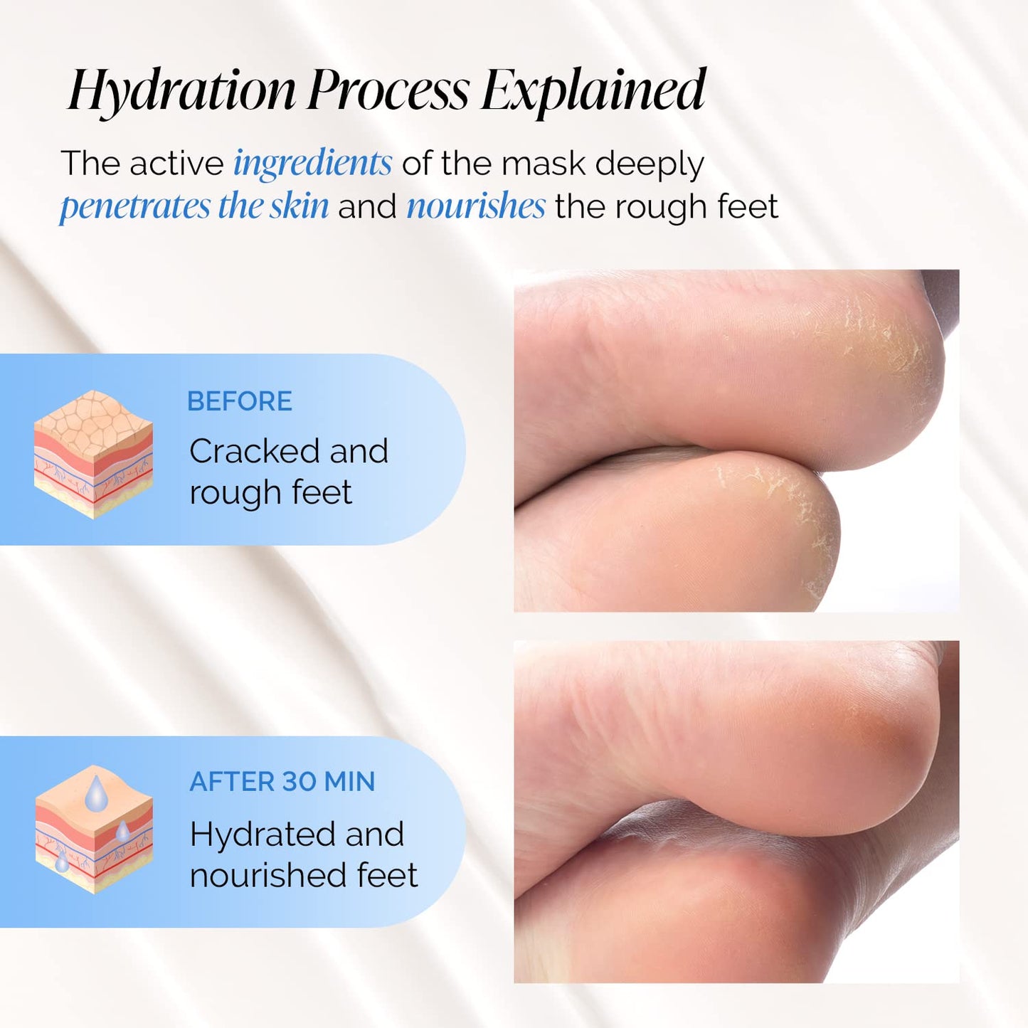 PLANTIFIQUE Korean Foot Mask with Shea Butter 8 Pairs box for Dry & Cracked Feet | Hydrating Socks for Soft Heels | Intense Moisturizing and Repairing Dry Rough Skin | Foot Spa | Happy Feet Mask