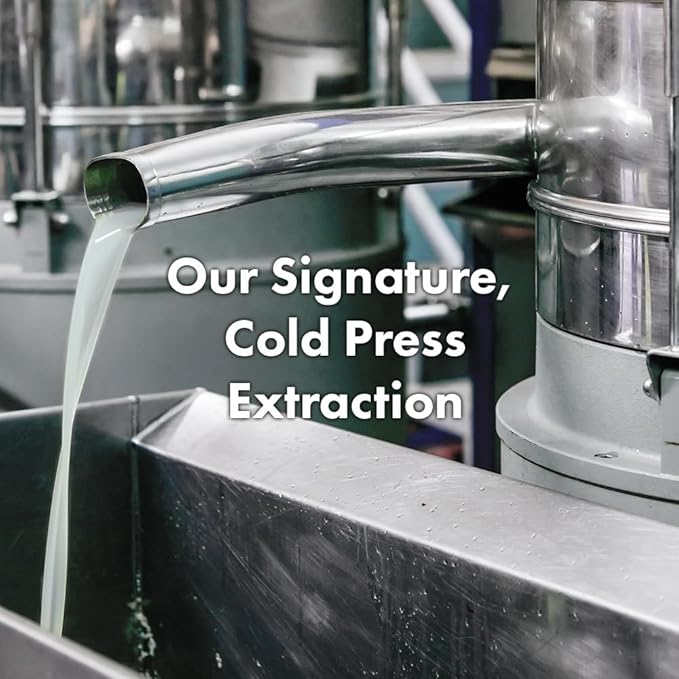 RATED GREEN Cold Press Tamanu Oil Soothing Scalp Pack w. Black Currant | Organic Tamanu Oil, Turmeric | Deep Relief Mask for Irritated Scalp | Silicone-Free, Korean Vegan Formula | 6.76 Fl. Oz