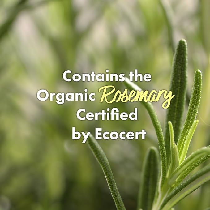 RATED GREEN Real Mary Cold Brew Rosemary Purifying Scalp Scaler w. Sea Salt | Menthol | Deep Refreshing Mask for Oily, Flaky Scalp | Korean Vegan Formula | 1.69 fl oz (Pack of 5)