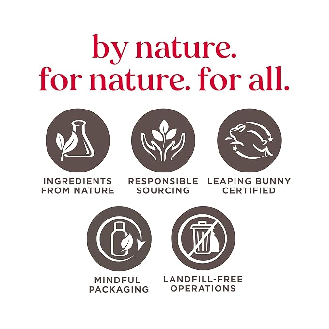 Burt's Bees Shimmer Lip Tint Set, Tinted Lip Balm Stick, Moisturizing for All Day Hydration with Natural Origin Glowy Pigmented Finish & Buildable Color, Champagne (4-Pack)