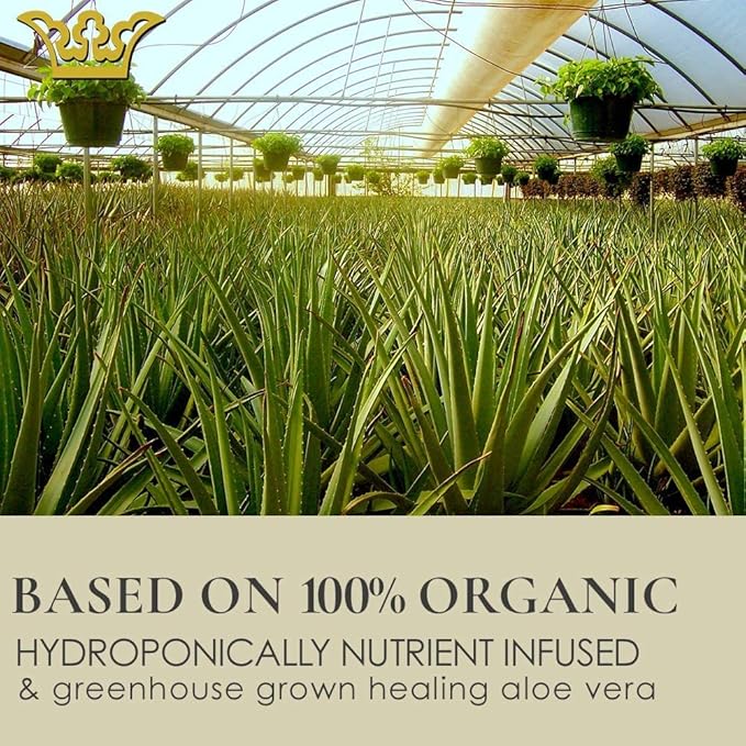 GUNILLA Anti-Aging Eye Cream Eye-de-puff A23 Concentrated with 23 Actives & Botanicals Hydrate & Help Reduce Fine Lines, Puffiness & Dark Circles, Natural, Peptides, Vegan - 5 oz