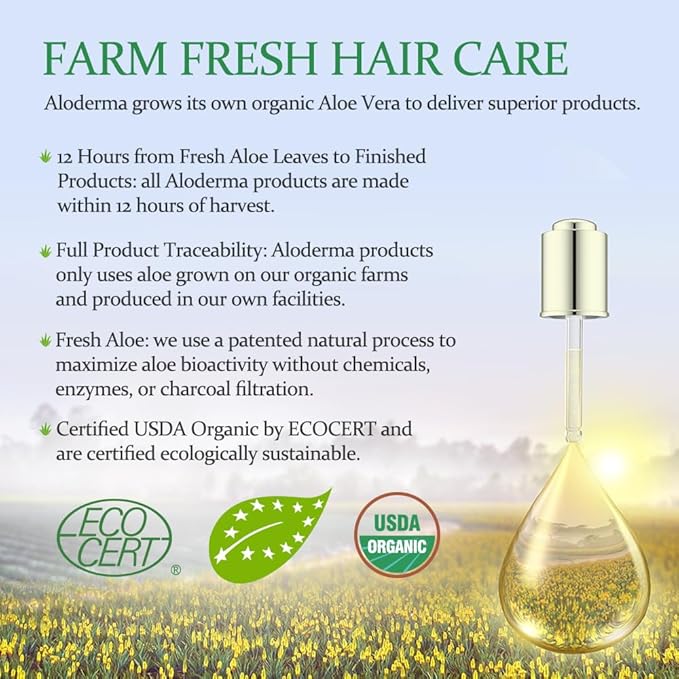 Aloderma Oil Controlling Shampoo Made with Freshly Harvest, Organic Aloe Vera for Oily Hair & Scalp - Infused with Tea Tree Oil and Willow Bark Extract to Gently Cleanse Build Up Without Drying - 16oz