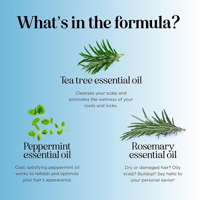 Tea Tree Mint Shampoo and Conditioner - Tea Tree Rosemary Mint Shampoo and Conditioner Set Sulfate Free for Daily Clarifying and Dry Scalp Care - Paraben and Sulfate Free Shampoo and Conditioner 16oz