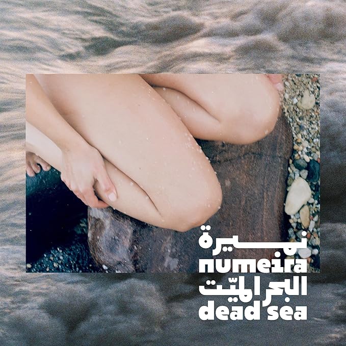 Dead Sea Salts for Soaking Relaxing Sea Salt Bath Soak for Body Rejuvenation - Natural Mineral Salts - Coarse Dead Sea Salt Unscented Bath Salts for Women & Men (8.82 oz)