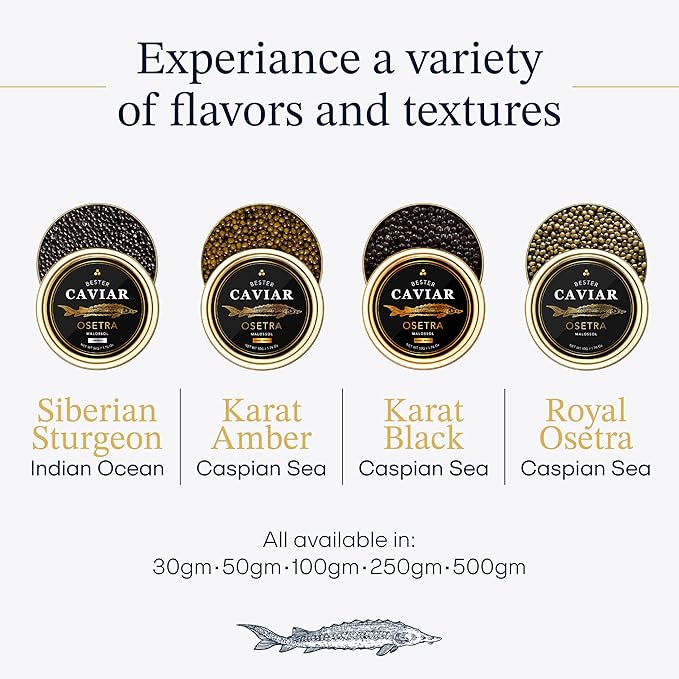 OVERNIGHT GUARANTEED, BESTER Premium Russian Osetra Sturgeon Caviar - 3 tins of 1 oz -30G (Trio Pack) - Malossol Ossetra Black Roe - Premium Quality, Traditional Style, imported