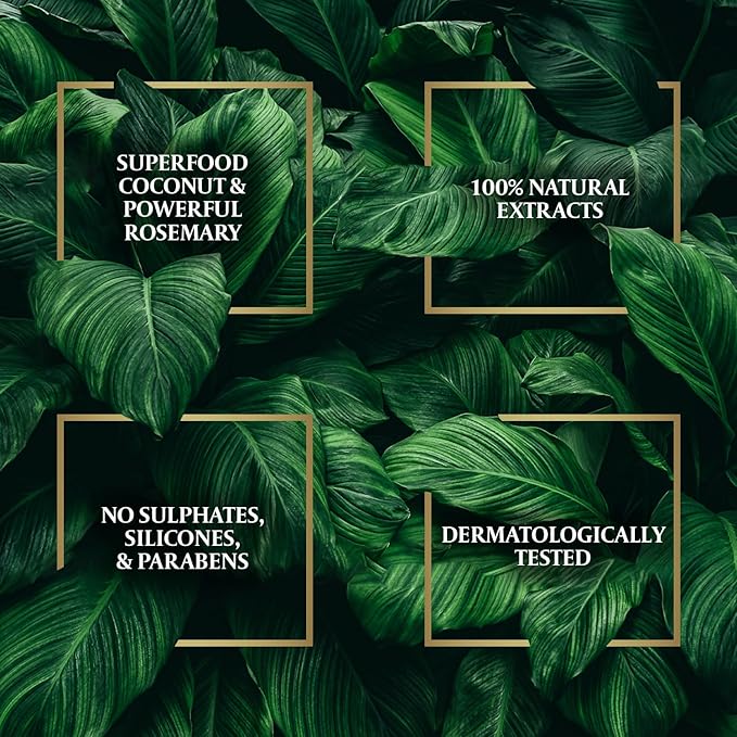 Parachute Advansed Rosemary Hair Oil with Coconut| For 2x Longer & Thicker Hair| Reduces Hairfall & Strengthens Hair| All Hair Types|No Parabens & Silicones| 10.1 Fl.oz.