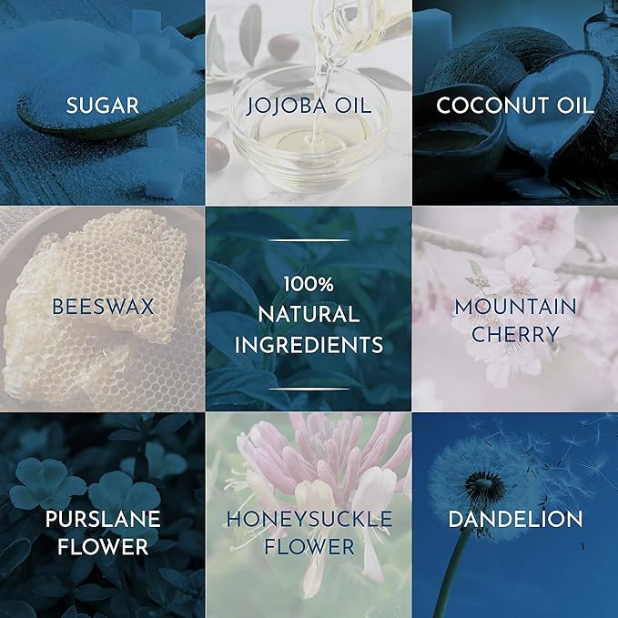 SNOW Lip Exfoliating Sugar Scrub - Lip Scrub Exfoliator for Plump & Soft Lips - Lip Care Product with Jojoba Oil - Moisturize Dry Lips - Lip Care Kit Essential - Lavender & Mint